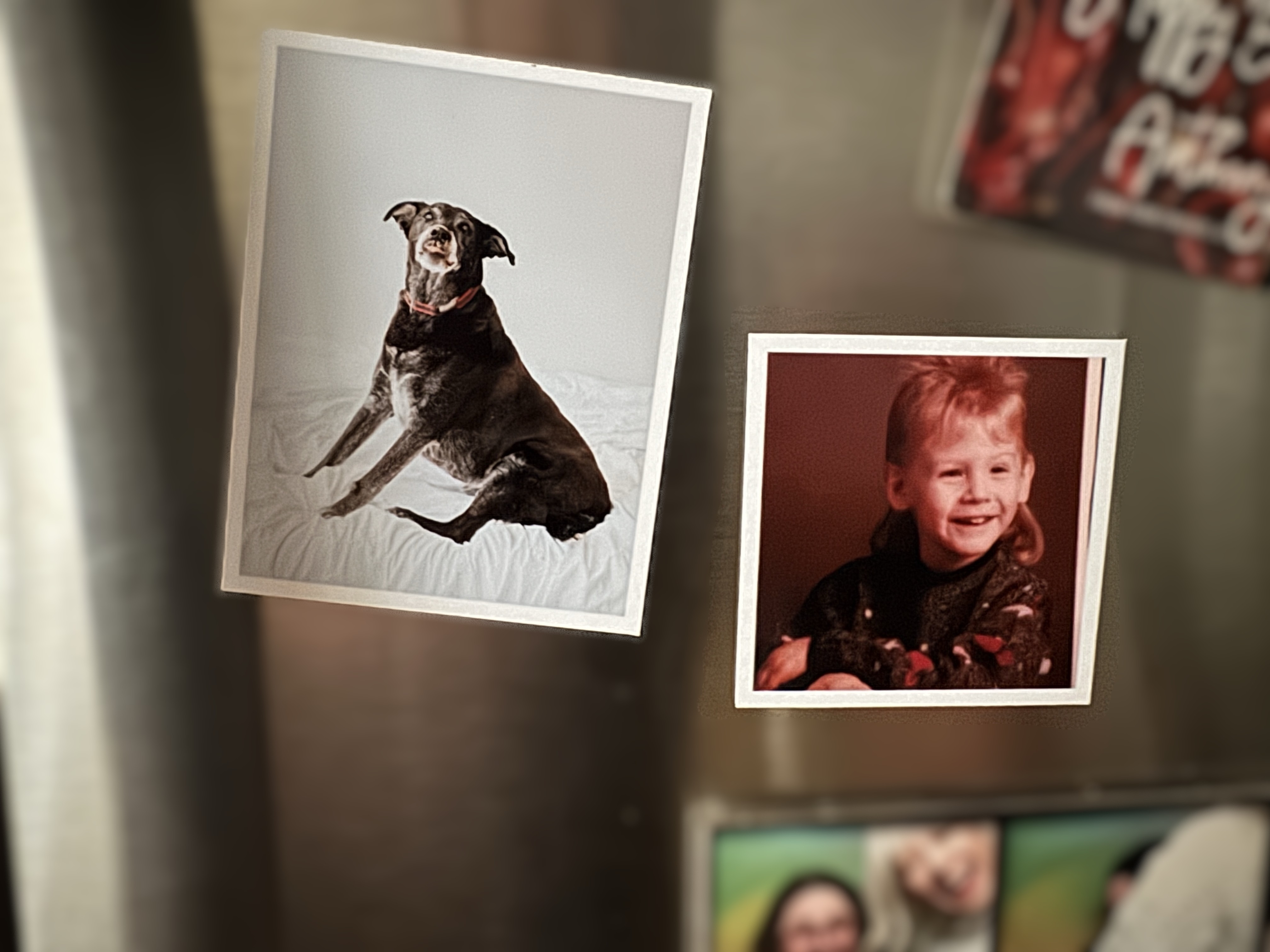 Photo Style Flat Magnets