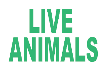 Live animal sticker preview
